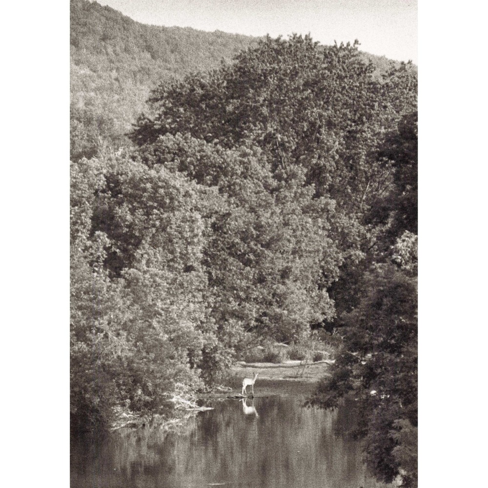 William H Tague 15 Postcard Set Berkshires Tanglewood Leonard Bernstein Nature - Picture 5 of 16